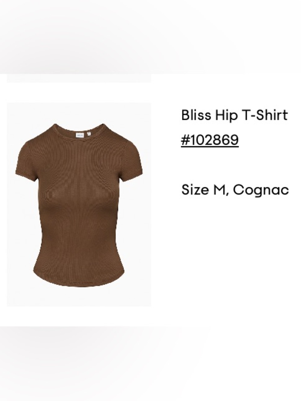 Aritzia Bliss Hip T-Shirt in Cognac Brown